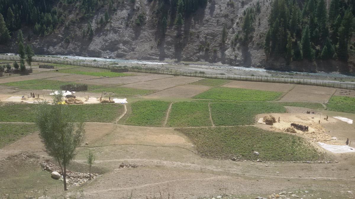 Fourteen lakh kanals of State land encroached in Jammu; three lakh in Kashmir: Official data