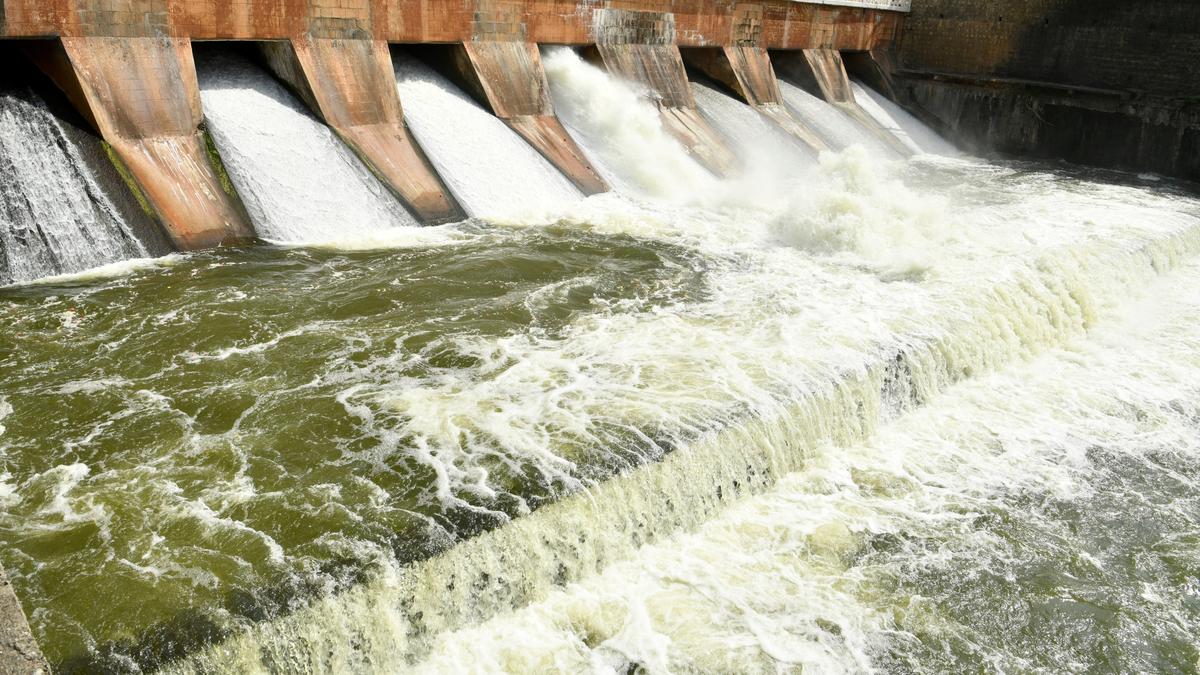 Water released from Vaigai dam to irrigate land in Madurai, Dindigul districts
