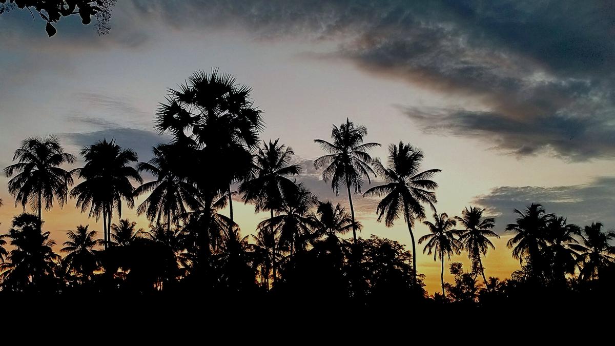 Slight delay in onset of monsoon over Kerala; arrival likely on Jun 4: IMD