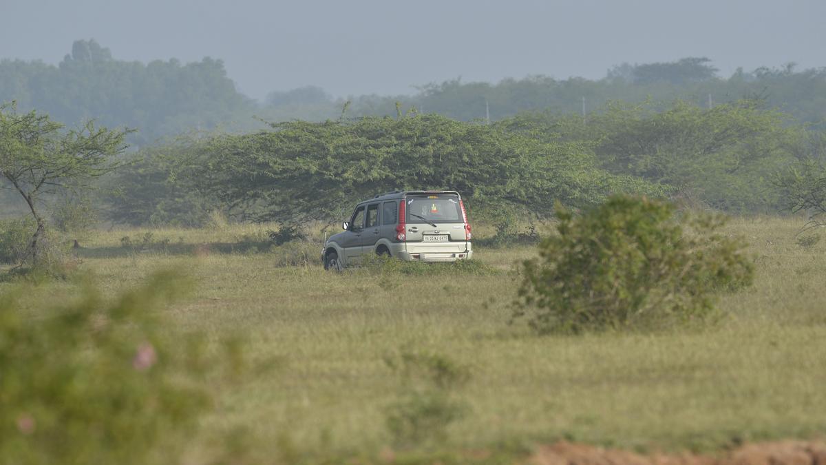 Chorus grows for declaring Hesaraghatta Grasslands as conservation reserve The Hindu