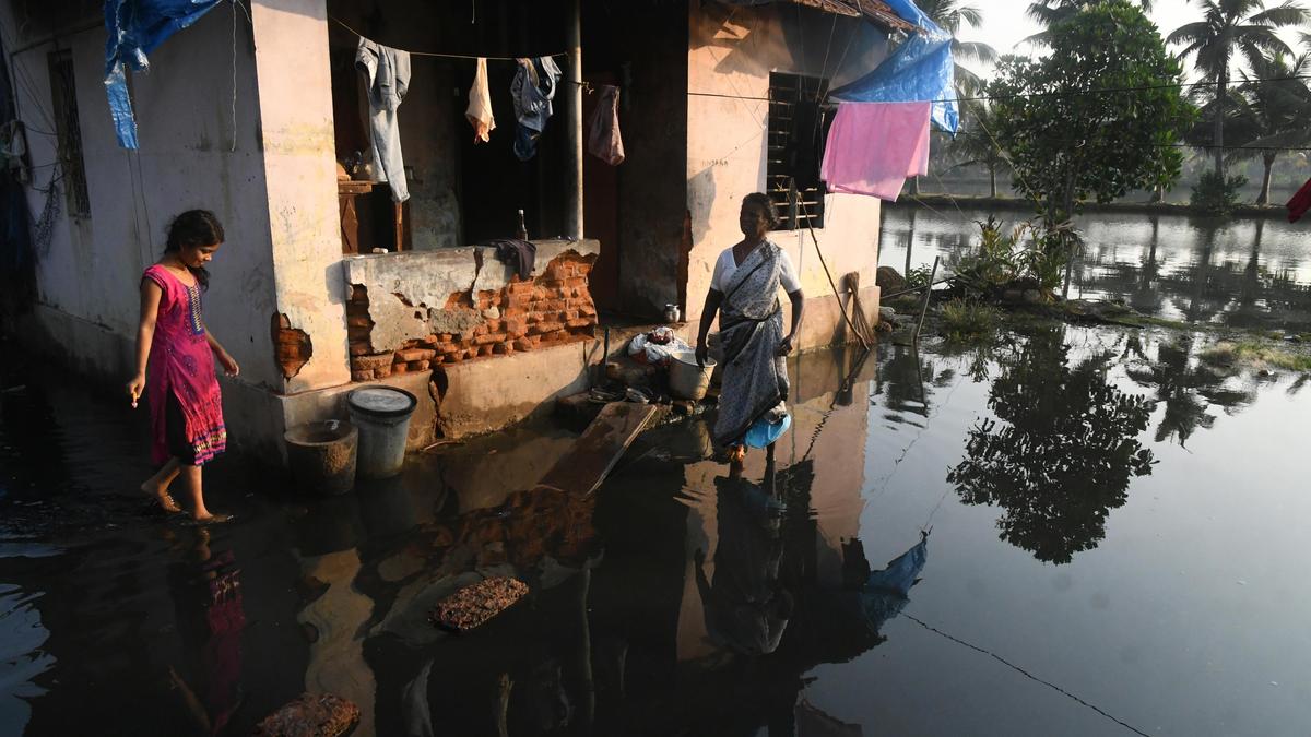 How community-led environmental initiatives are making a change in Ernakulam