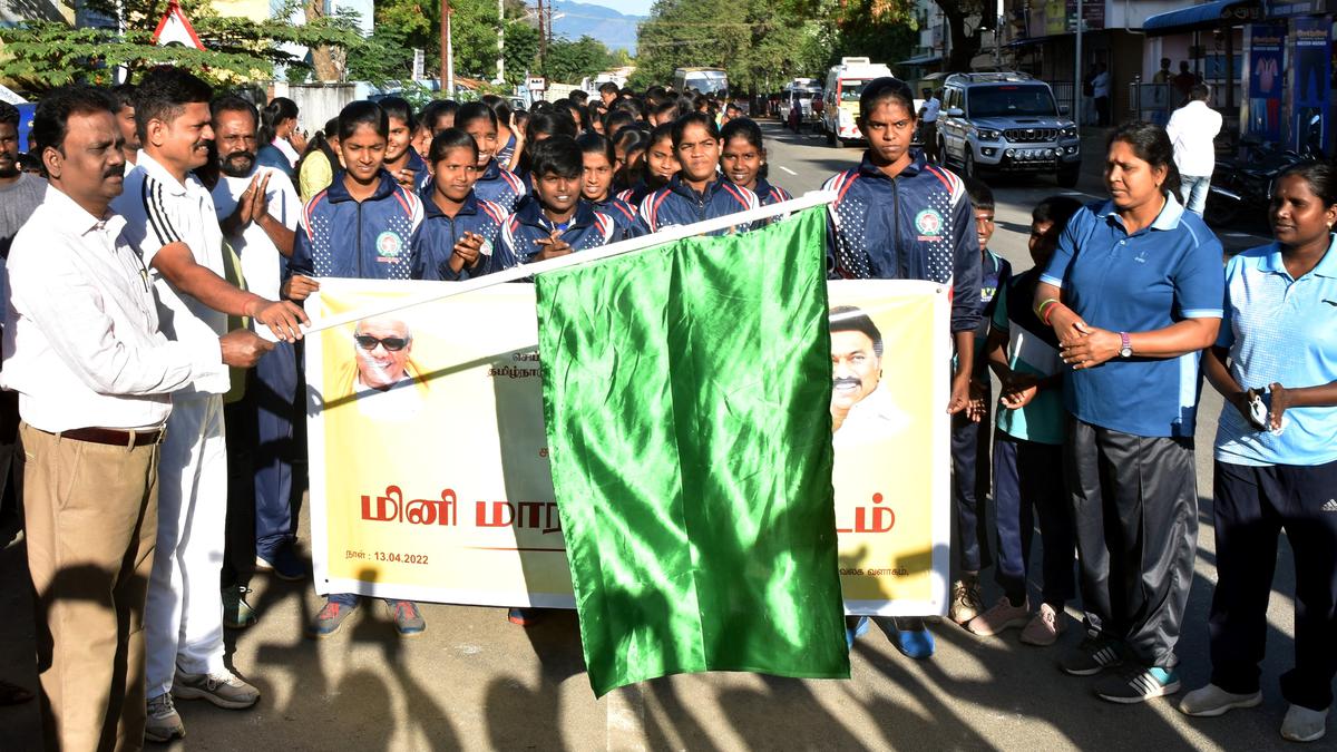 mini-marathon-held-the-hindu