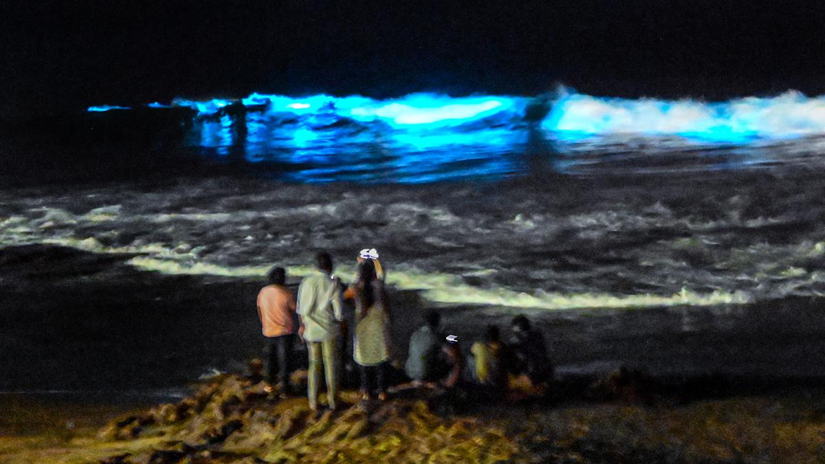 Here’s why Visakhapatnam beaches are glowing a shimmering blue