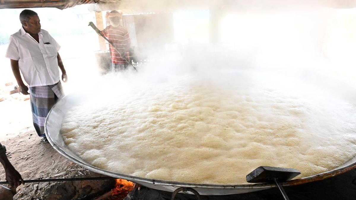 Jaggery manufacturers struggle amid rising labour expenses&nbsp;in Erode district