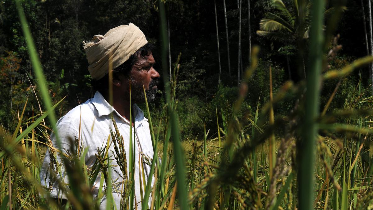 A problem of science at the Padma awards