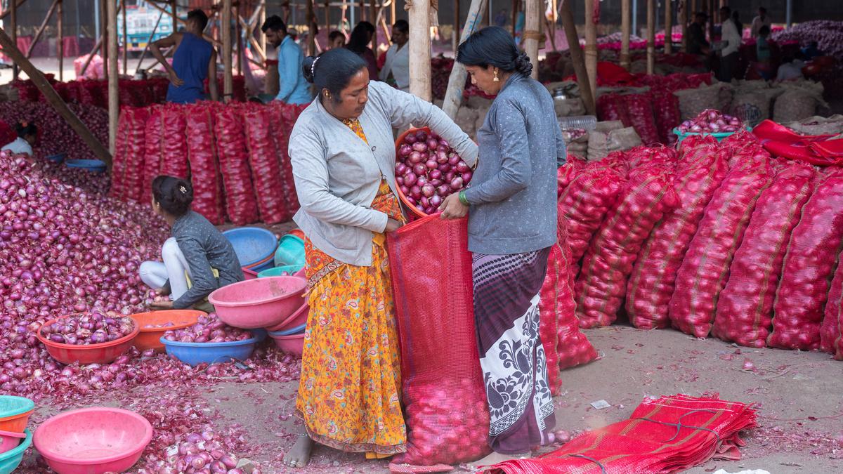 Watch | Why are onion farmers in Maharashtra unhappy?