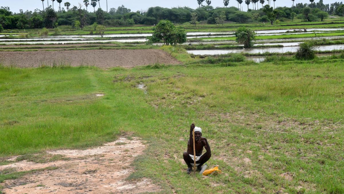 Parandur airport project notified as ‘Special Project’