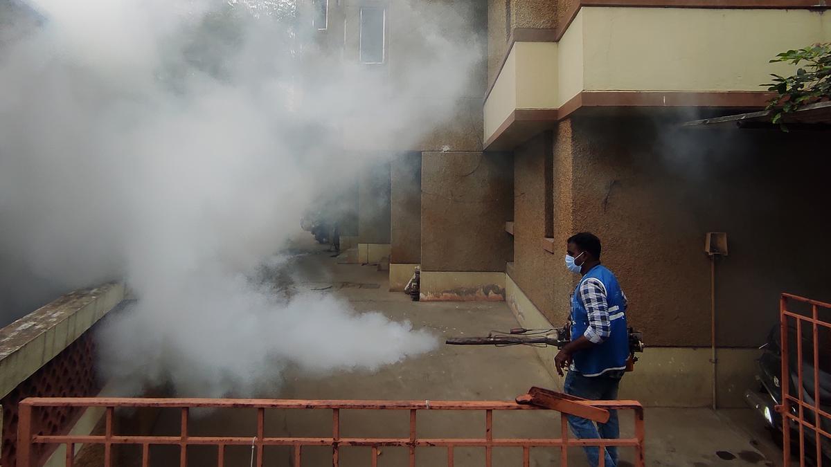 Battle against mosquitoes: One vector-control activity to be conducted every Thursday in T.N.