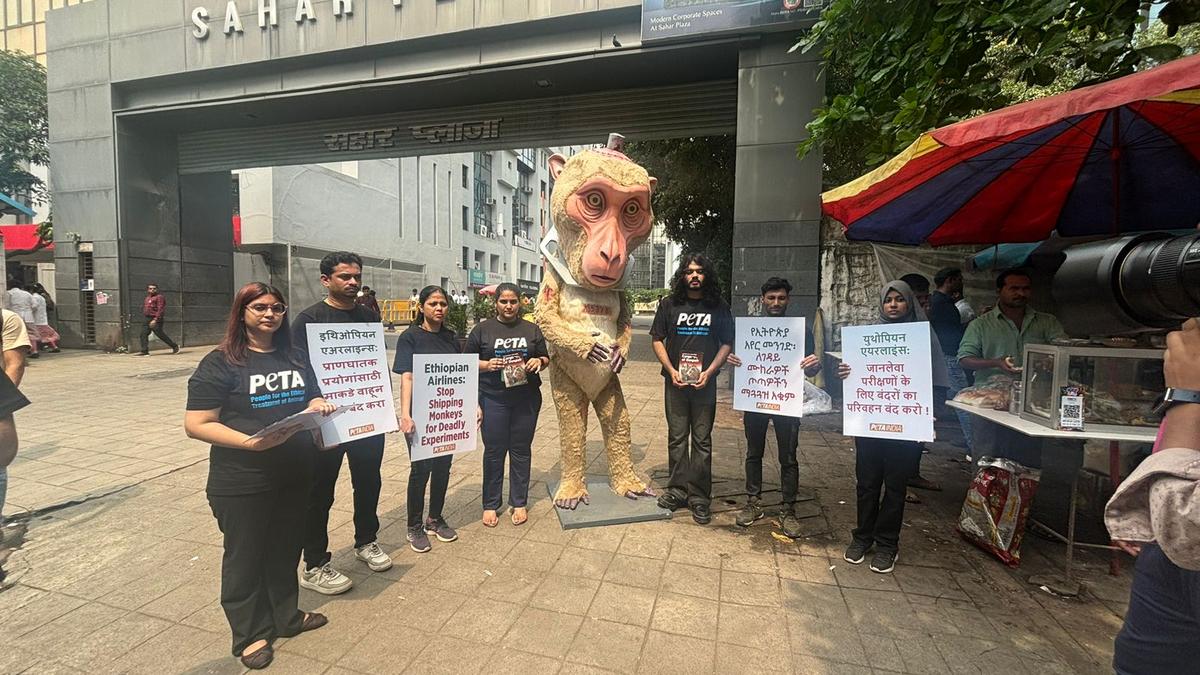 PETA activists demonstrate against Ethiopian Airlines over cruelty against monkeys