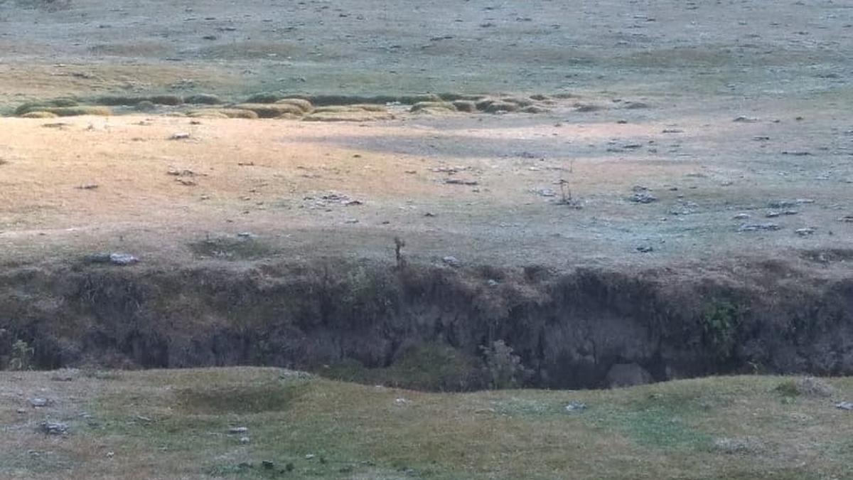 Mercury once again dips to zero in Munnar