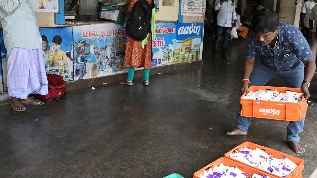 Plan to increase Aavin’s milk procurement in Tirunelveli district to 70,000 litres a day