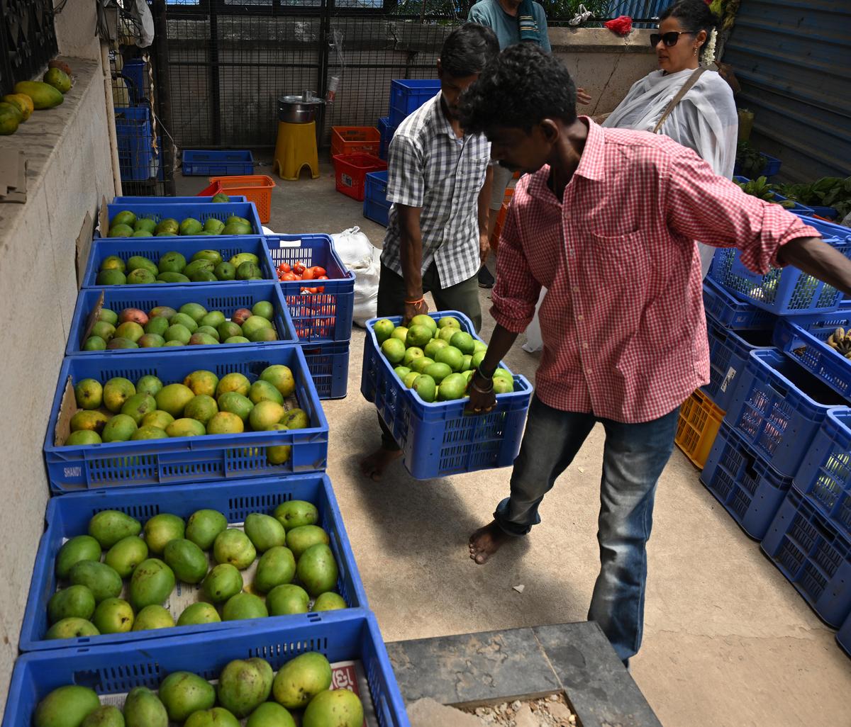 O shandy orgânico, Mylapore, em Chennai