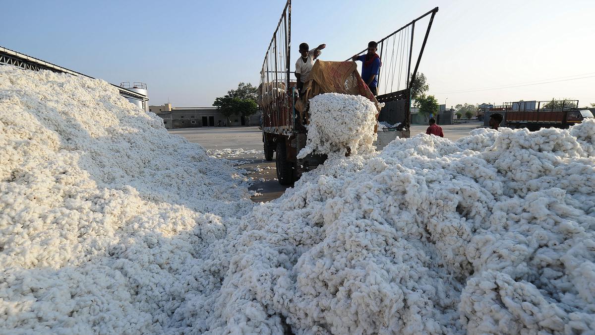 MoU signed to promote indigenous branded cotton