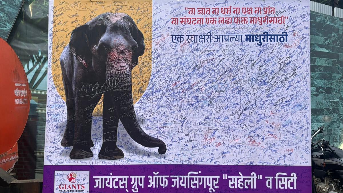 https://th-i.thgim.com/public/incoming/2w3ywo/article69900783.ece/alternates/LANDSCAPE_1200/de05%20Kolhapur.jpg