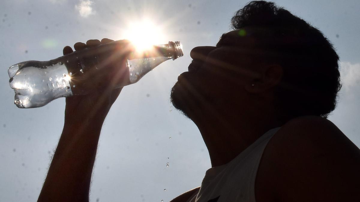 Shocking Heatwave Toll: India Faces Deadly Summer, At Least 84 Deaths Reported!