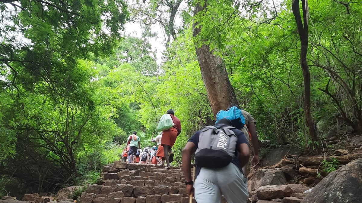 Concerns raised over commercial trekking in protected areas in Coimbatore district