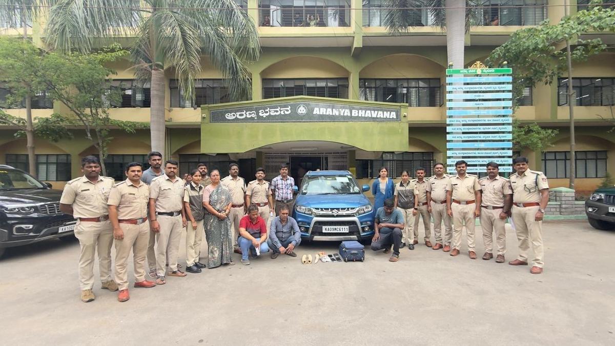 DRI tip-off leads to illegal ivory trade; four arrested