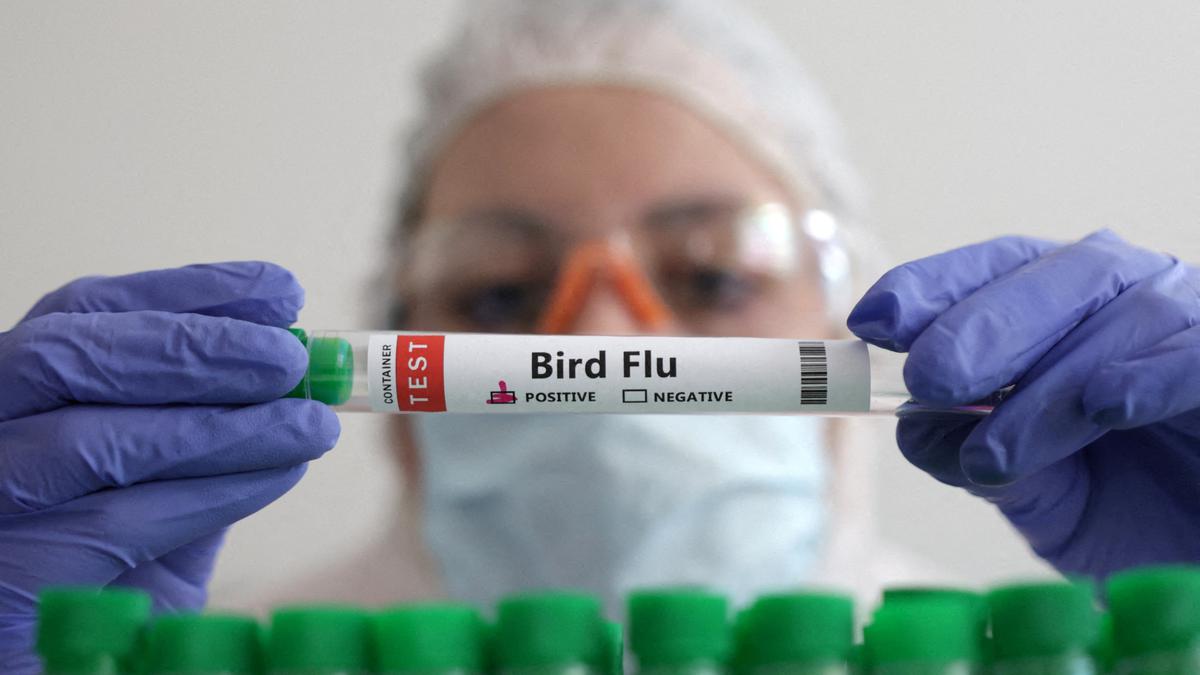 ird flu outbreak underscores need for early detection to prevent the next big pandemic