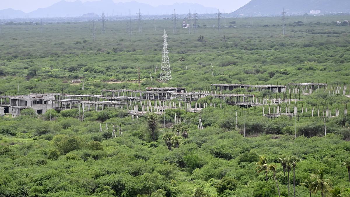 Clearing of bushes in Amaravati to begin today