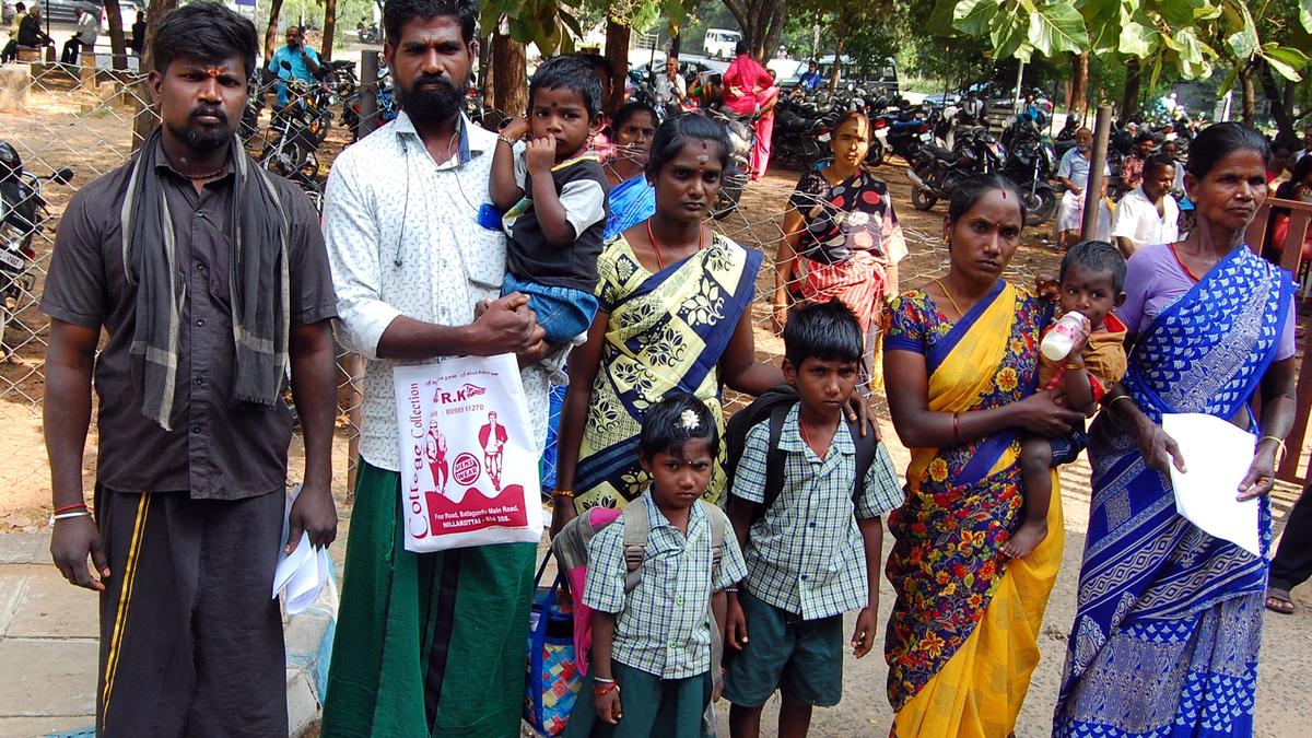 Petitioners seek restoration of power connection which was disconnected on false charge