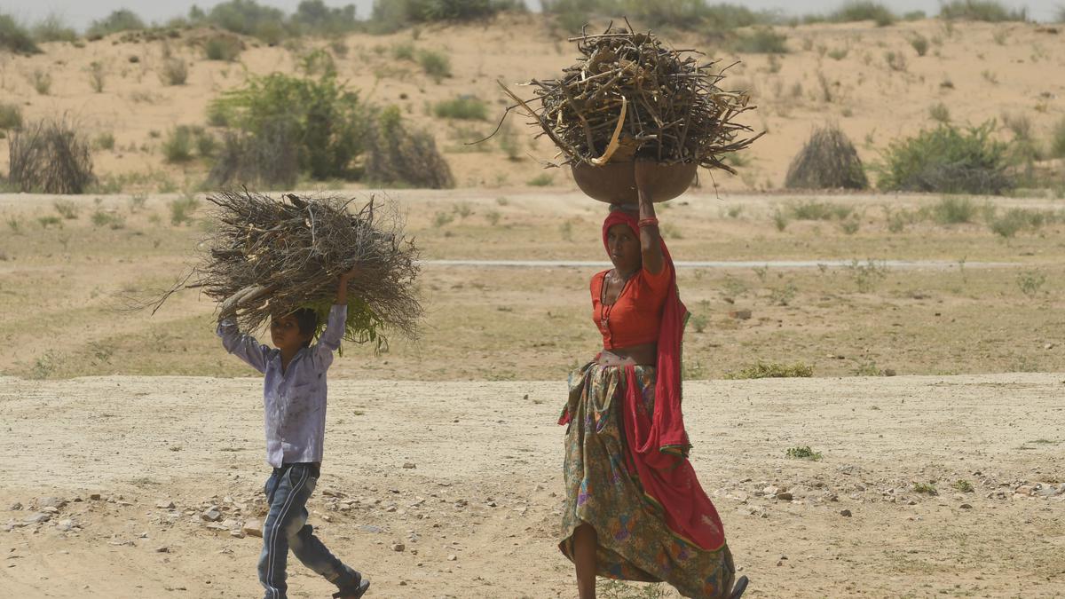 Without action plans, India’s poorest will continue to bear brunt of heatwaves: study