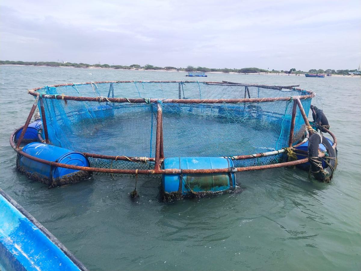 Buy Premium aquaculture cage For Fishing 
