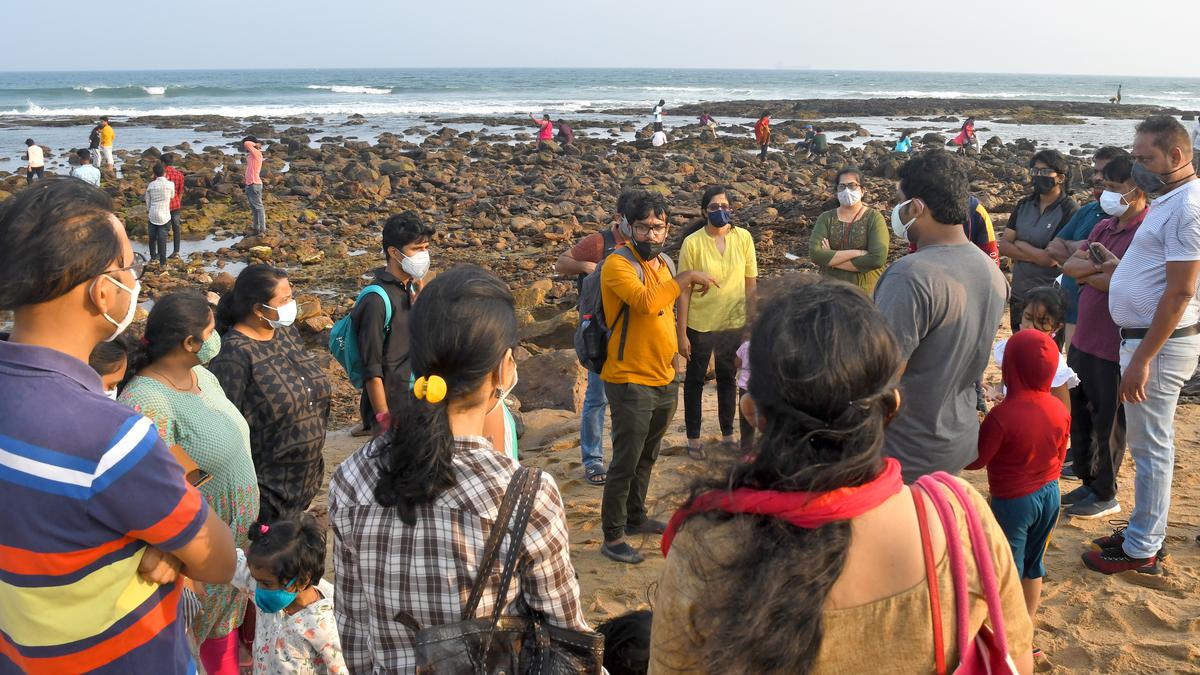 A citizen science project documents unique sea slugs from Visakhapatnam coast