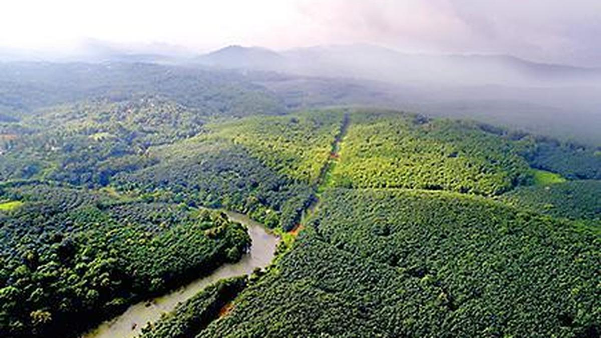 Though court dismisses government claim on Cheruvally estate, it says Ayana Trust ownership not indisputable