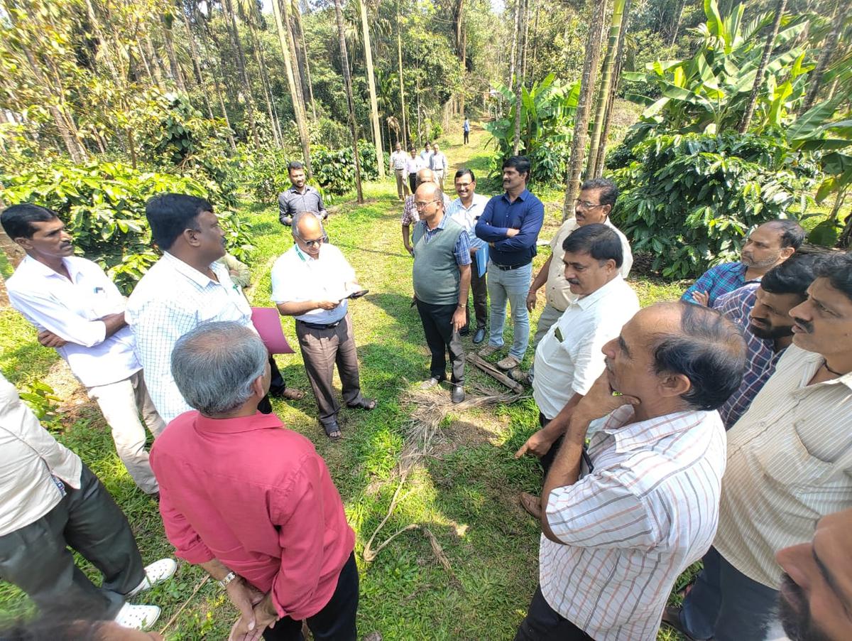 Scientific team visits areca plantations in Chikkamagaluru district of Karnataka