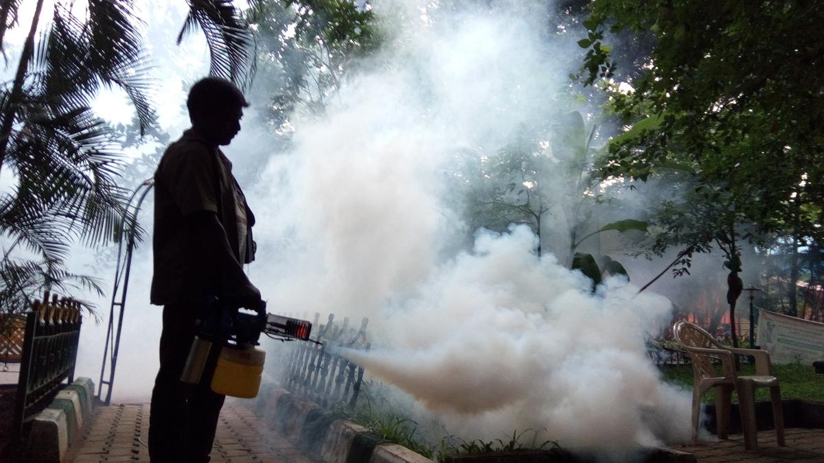 Dengue: TPR higher than Karnataka average in 15 districts, including BBMP area