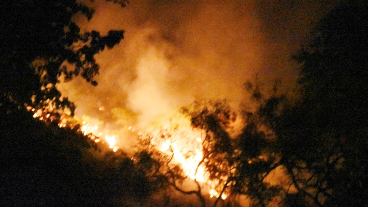 Fire at Chamundi Hills