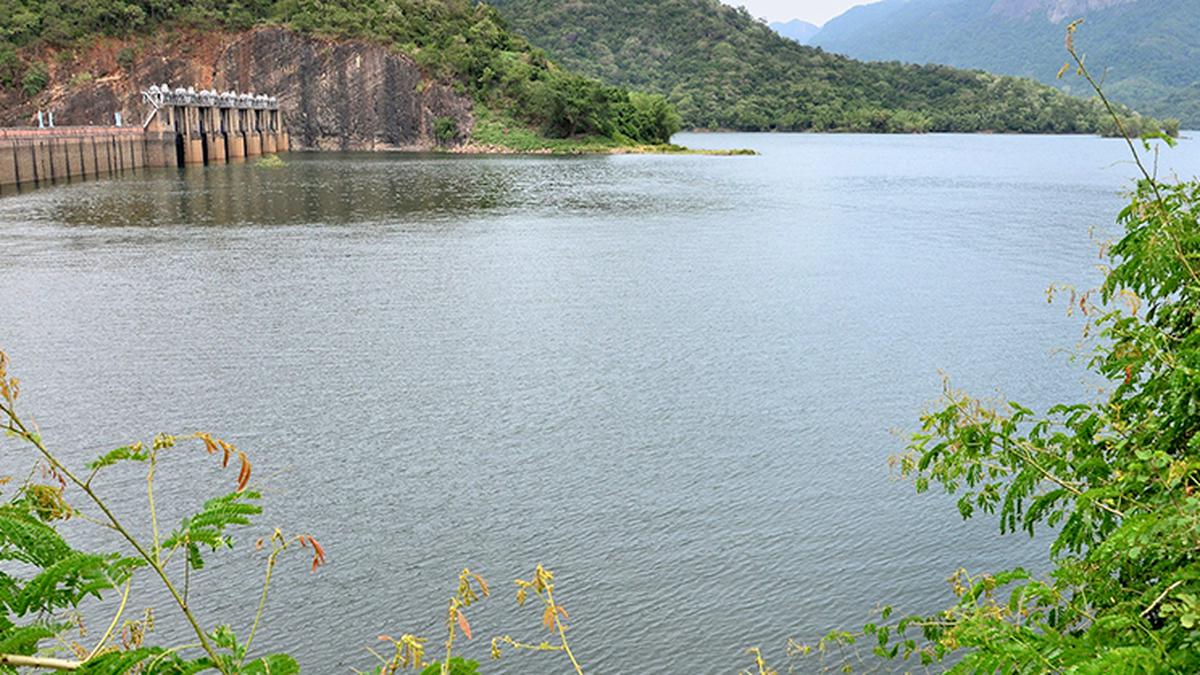 Water level in Papanasam dam stood at 81.70 feet