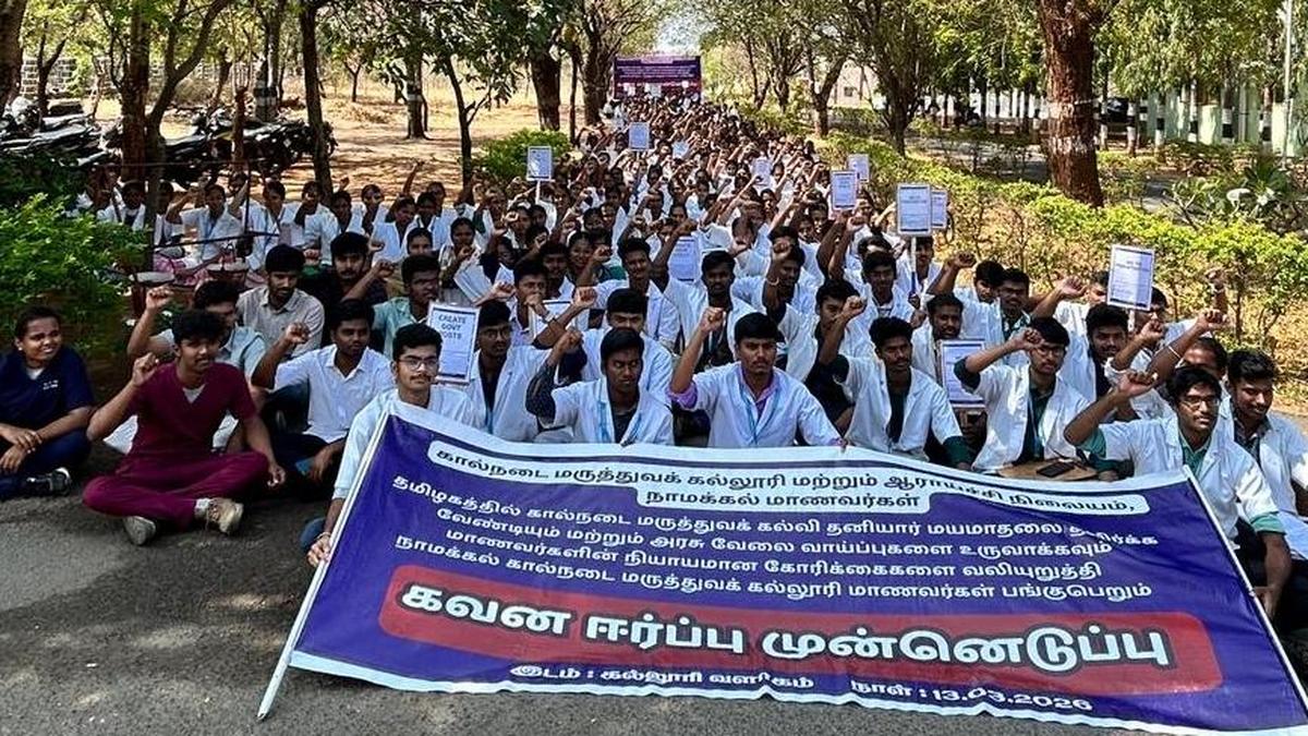 Drop proposal for establishing private veterinary colleges in Tamil Nadu, say veterinarians
