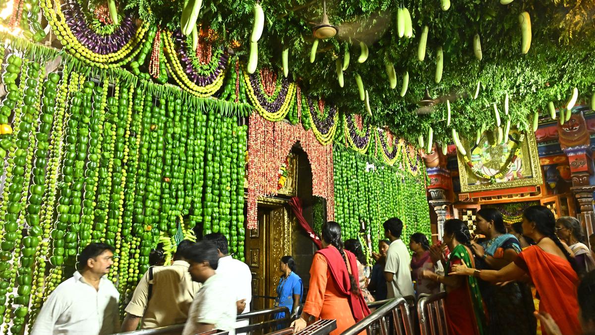 Indrakeeladri decked out in green as Sakambari festival gets off to a colourful start