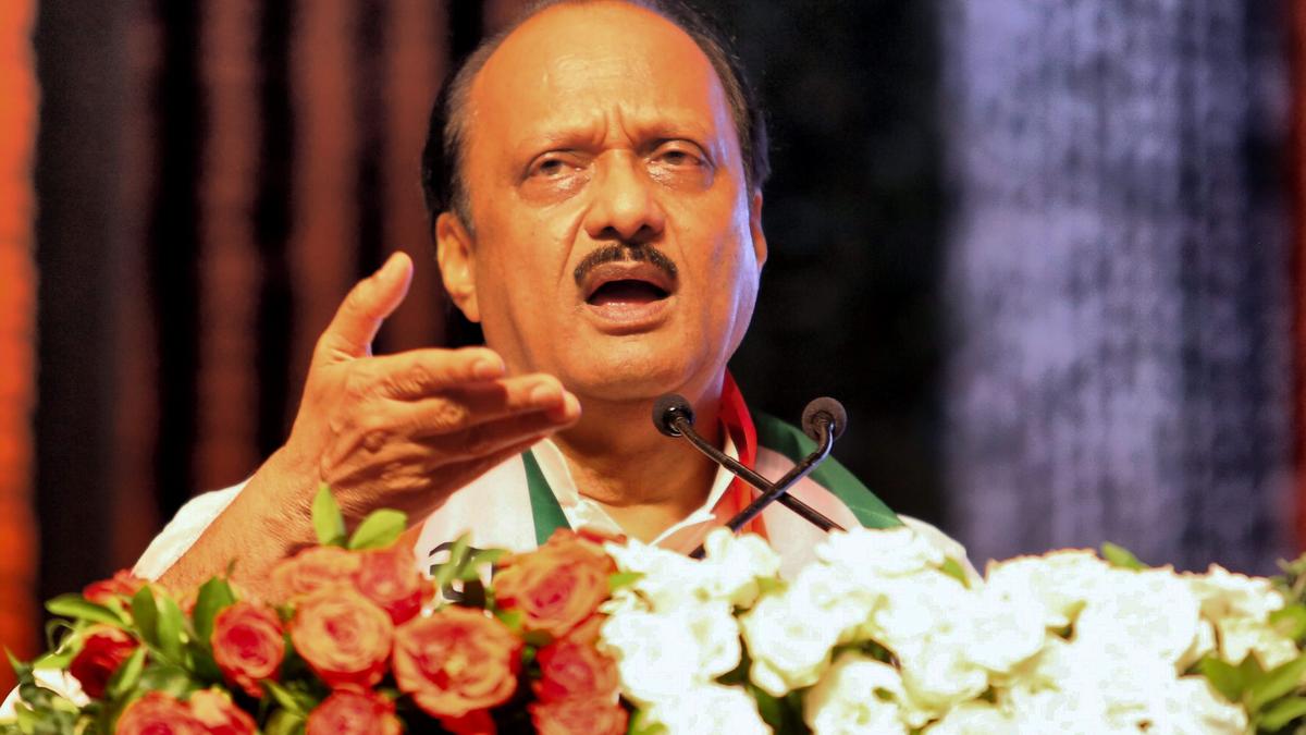 Discontent among onion growers cost ruling 'Mahayuti' dearly in LS polls: Ajit Pawar