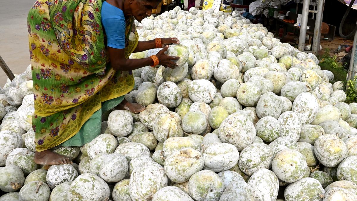 Tirupati witnesses brisk sale of white pumpkins during Deepavali season