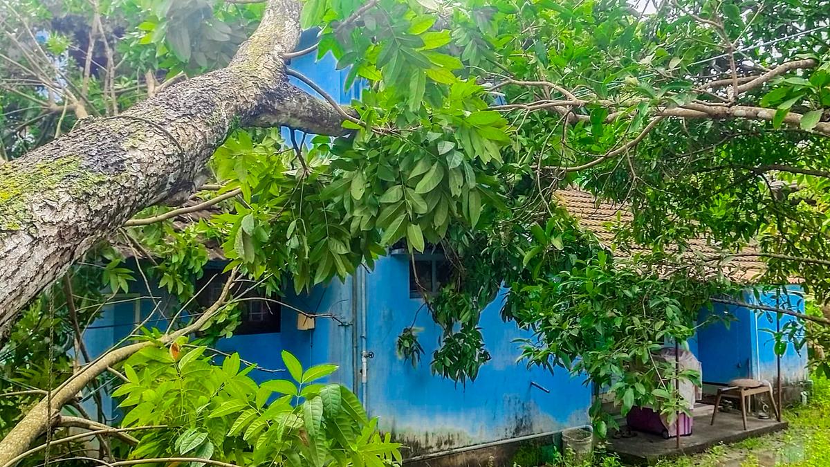 Gutsy wind, rain leaves trial of destruction in southern, central Kerala