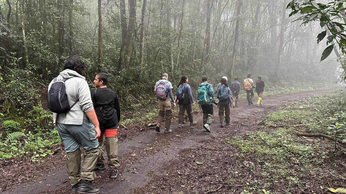 How to experience the monsoon in Kerala