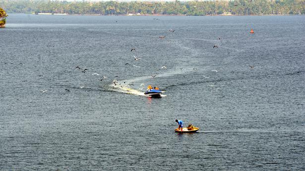 On cards, a piscine apocalypse in Kerala