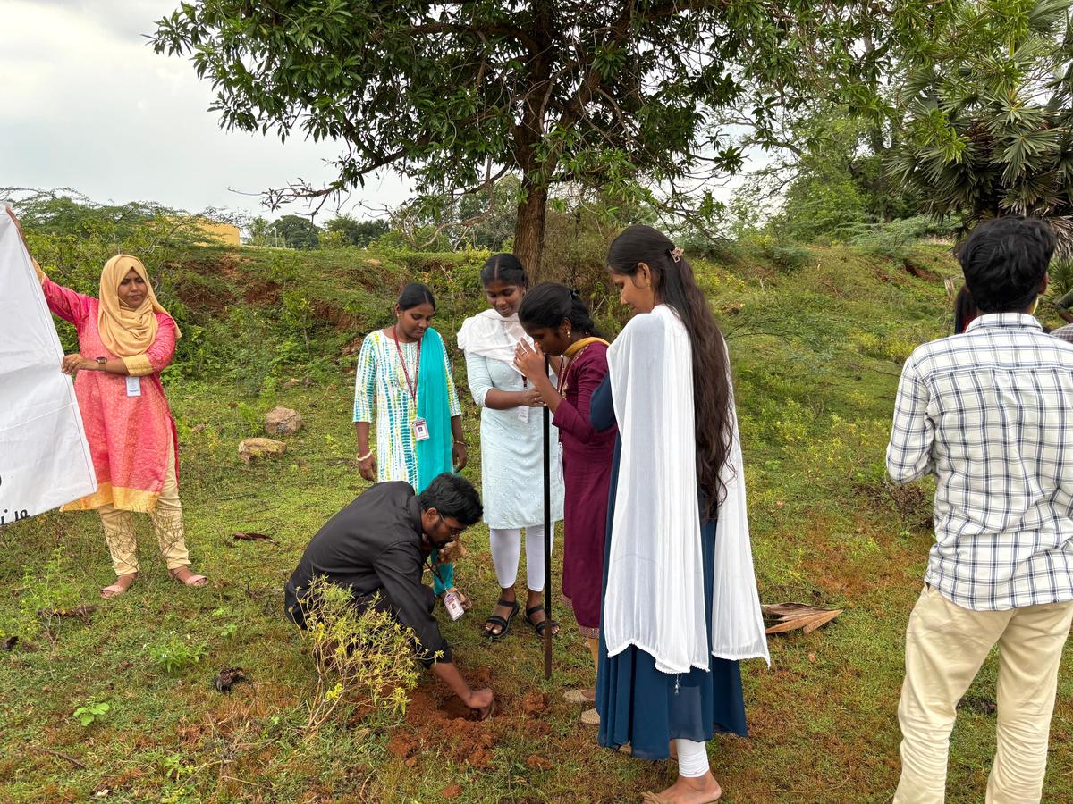 Students of Alagappa Institute of Management, Karaikudi, planting palm seeds along the lake bund in Vairavanpatti village. Students of Alagappa Institute of Management, Karaikudi, planting palm seeds along the lake bund in Vairavanpatti village.