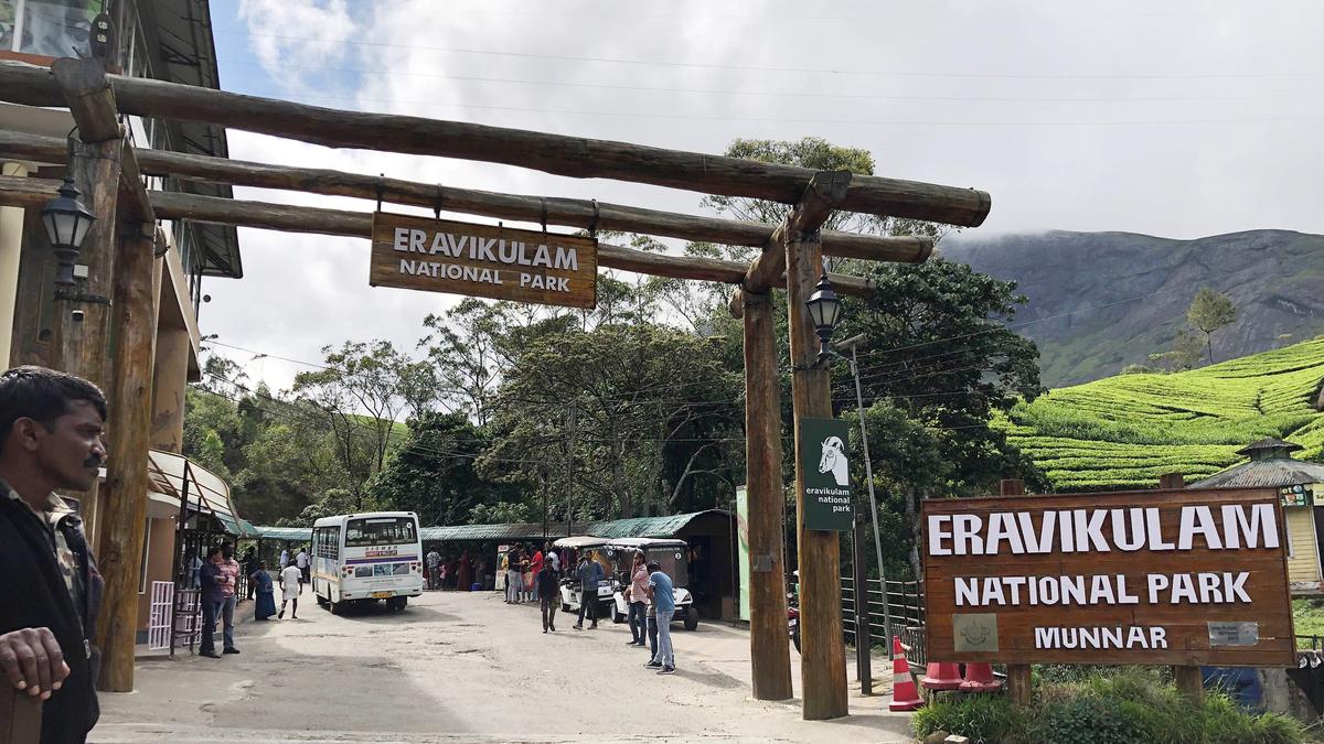 Green tag for six tourism destinations in Munnar