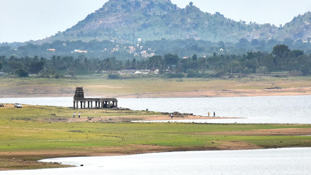 Mysuru district police busts rave party near KRS backwaters, detains 50 persons