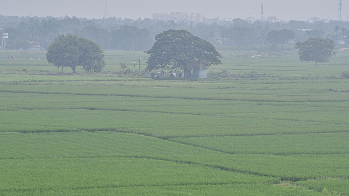 Protected agri zone