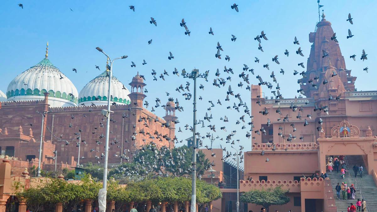 Allahabad HC fixes Mar 12 for next hearing of Krishna Janmabhoomi-Shahi Idgah mosque