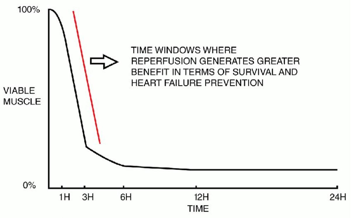 Source: https://doi.org/10.12688/f1000research.10553.1 Source: https://doi.org/10.12688/f1000research.10553.1