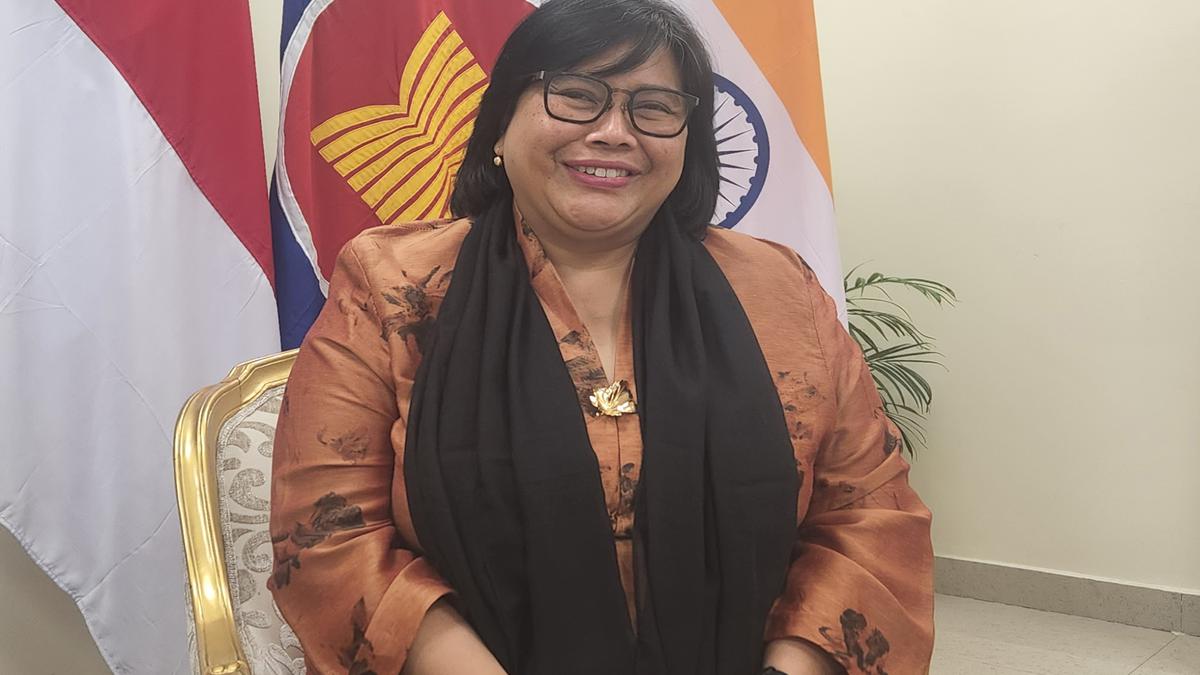 We want G20 heads to meet, solve issues: Indonesian envoy to India Ina Krisnamurthi