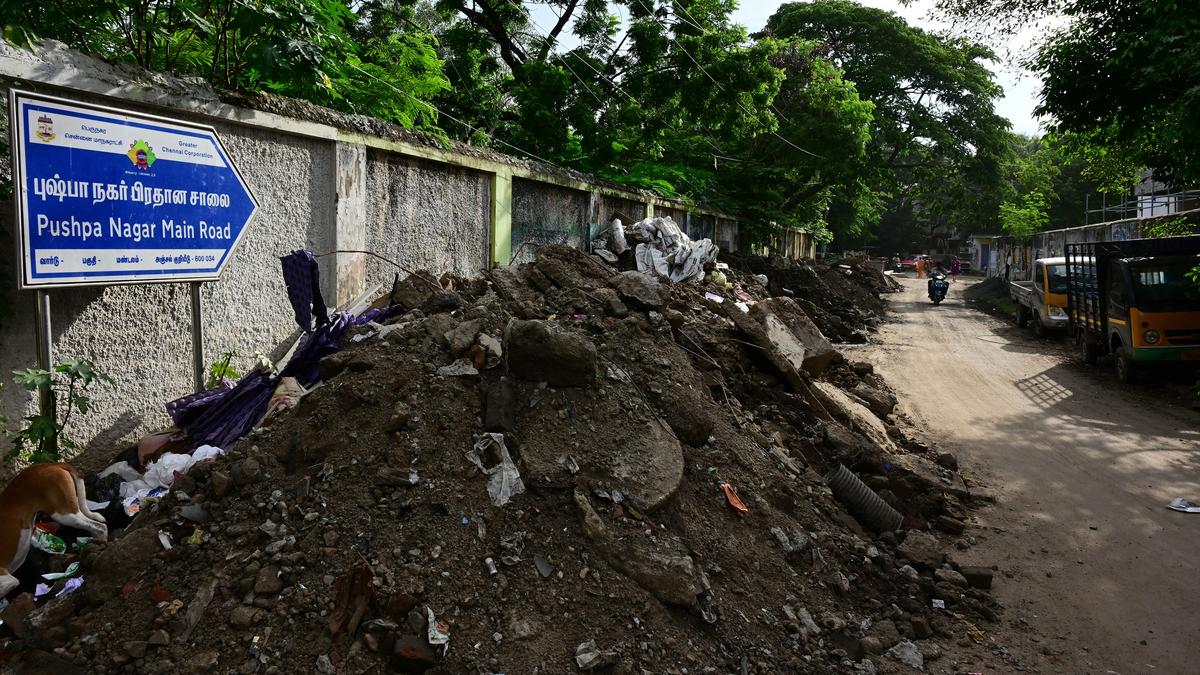 Is Pushpa Nagar Main Road a ‘pushover’?