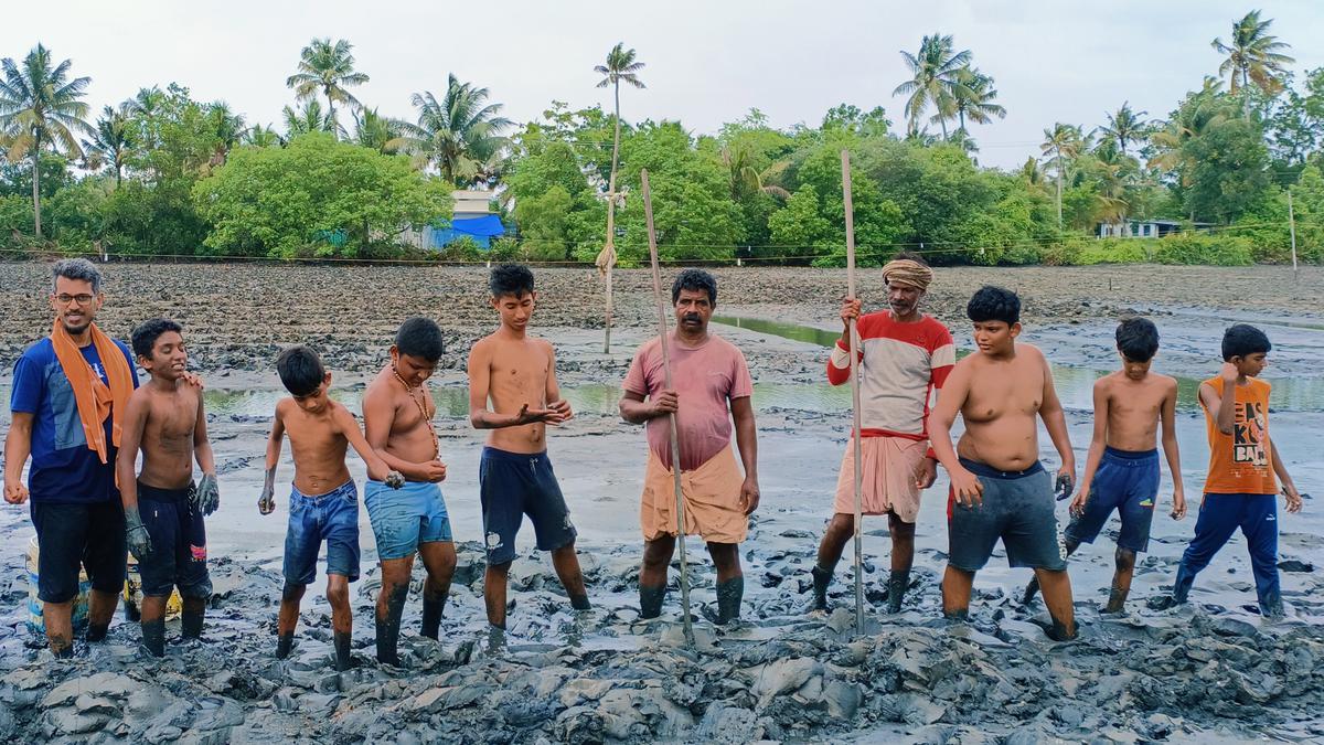 Students from St. Joseph’s Boys’ Home set an example in pokkali cultivation