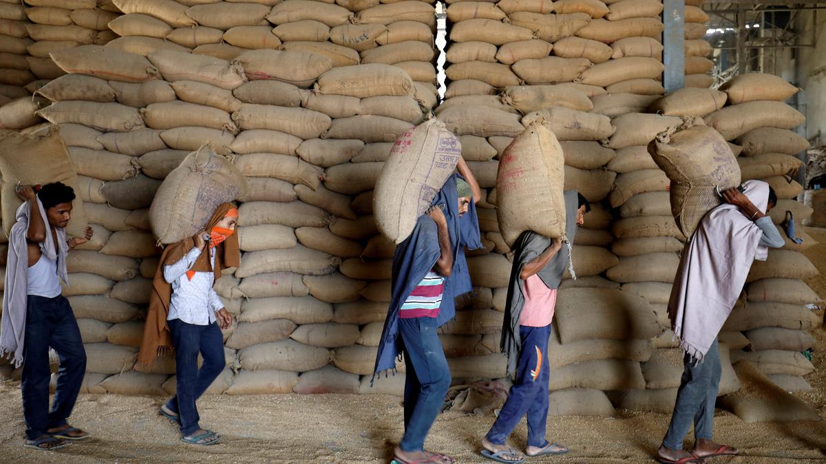 Food Ministry revises wheat stock limits to rein in prices, hoarding