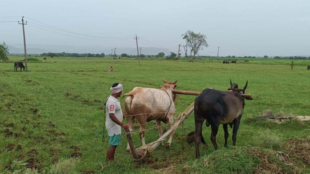 Farmers gear up for Kharif season in Kadapa, Annamayya districts